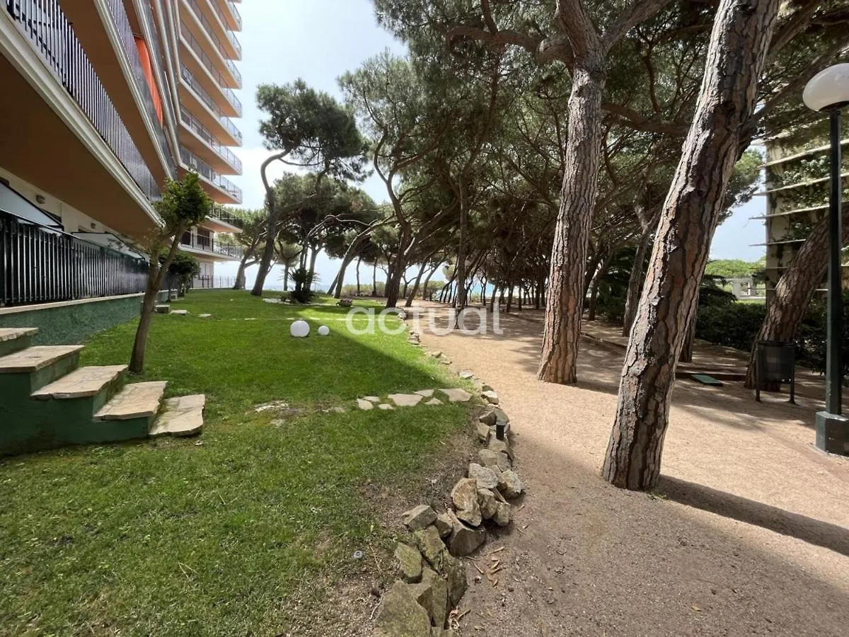 Apartment Cavall Bernat 84 Platja d'Aro Spain